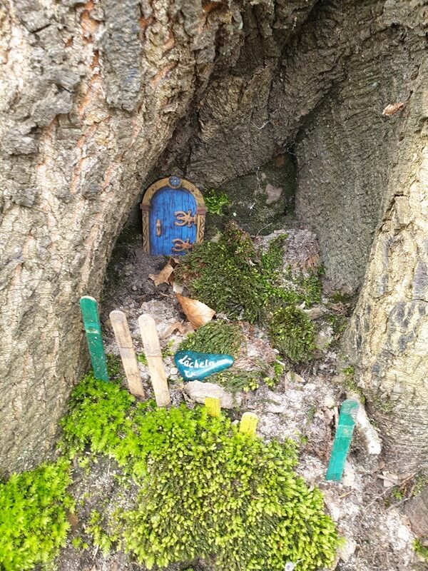 Eine kleine, blaue Feentür in einer Baumwurzel. Davor ist ein Zaun aus Holzstäben und viel grünes Moos.